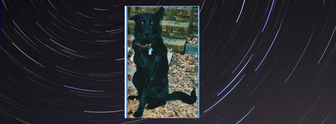The “Brief” Series: Mamaw and the Three-Legged Dog